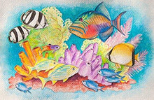 Load image into Gallery viewer, Color Swell Bulk Watercolor Paints and Wooden Brushes (6 Packs, 8 Colors/Pack) - ColorSwell