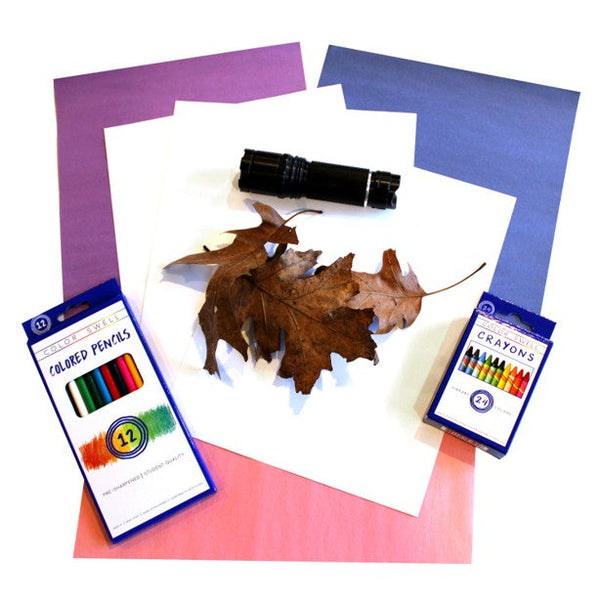 Color Swell art project: Shadow Drawings